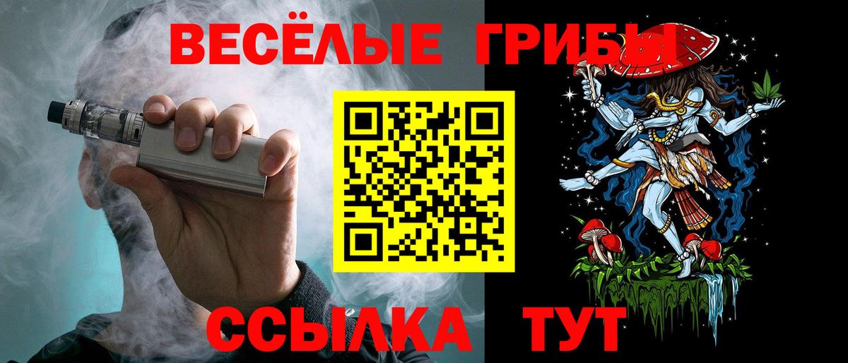 Галлюциногенные грибы MAGIC MUSHROOMS  Вход с VPN  Зима 